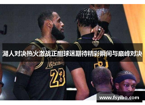 湖人对决热火激战正酣球迷期待精彩瞬间与巅峰对决